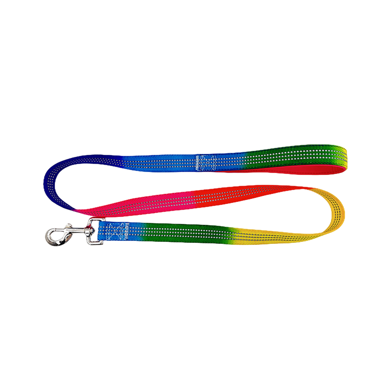 D Ring Dog Slip Leads Leash Kennel Nailon Nailon
